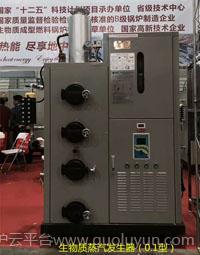 麗水生物質蒸汽發(fā)生器