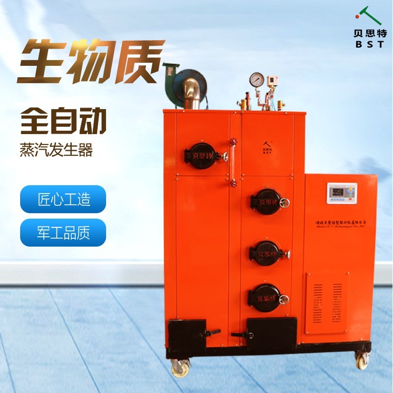 湖北貝思特生物質蒸汽發生器